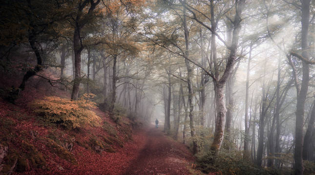 Galería de imagenes ganadoras del Concurso fotográfico Conocer Navarra 2020.