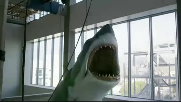'Bruce', el tiburón de Spielberg, se expone en Los Ángeles