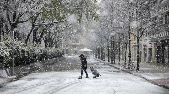 Primera gran nevada en Navarra