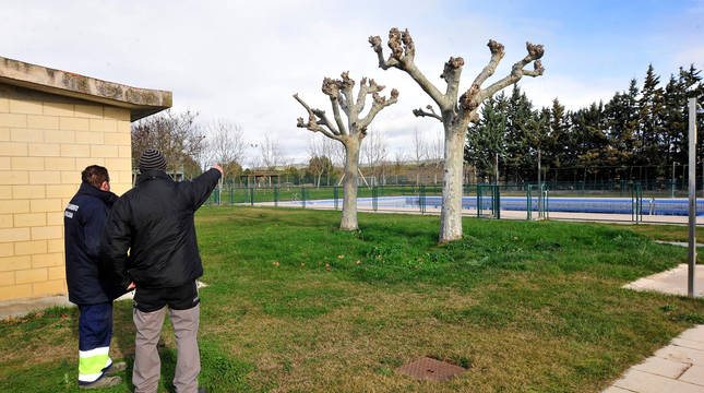 El presupuesto del próximo año recoge varias inversiones en las piscinas municipales.
