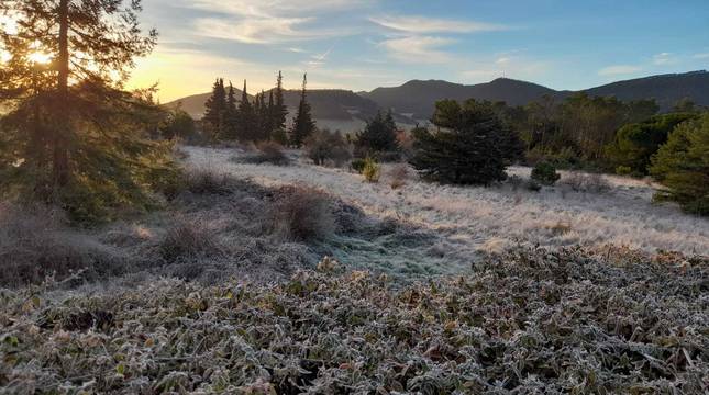 Fotos del invierno de los lectores 2020