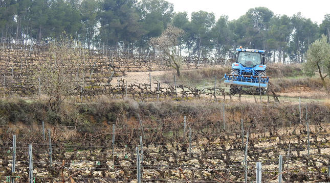 El parque eólico de Azagra se instalará en varios términos situados en el monte, en zona de viñedos.