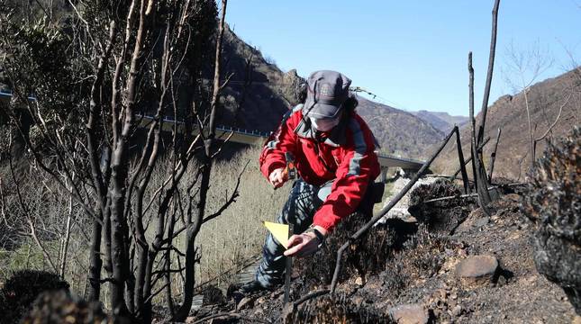 Fotos de la investigación policial del incendio de Bera y Lesaka
