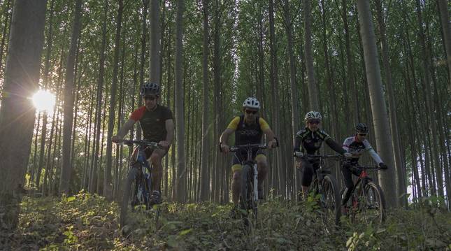 Cuatro ciclistas disfrutan de uno de los paisajes propuestos por el Espacio BTT Tierra Estella-Lizarraldea.