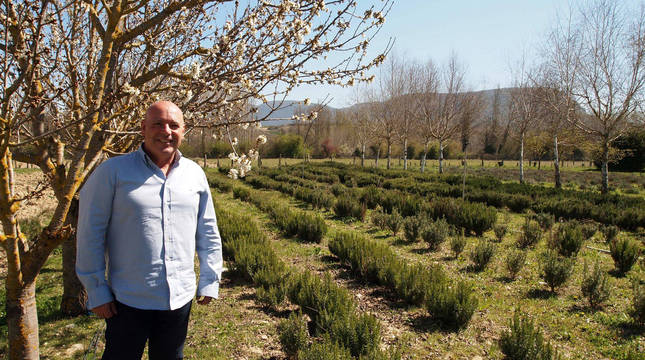 Foto de Jesús Cía Asensio, promotor y director de Josenea, este miércoles en la finca Bordablanca de Lumbier, entre cerezos en flor y romeros.