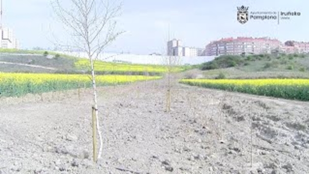 Nuevo corredor natural entre Etxabakoitz norte y sur