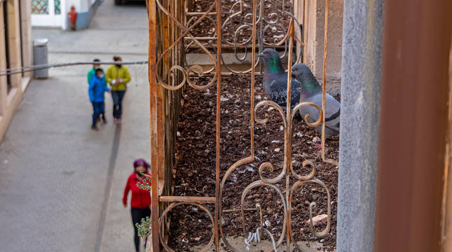 Imagen de un balcón de la calle Comercio de Estella, con montones de excrementos de las palomas que han anidado en su interior.