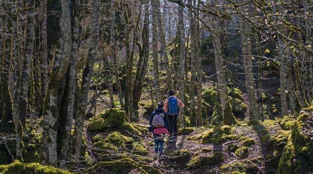 Un grupo de personas practica el senderismo el pasado fin de semana en la sierra de Urbasa.