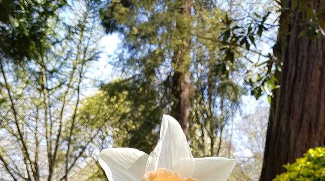 Fotos de la primavera de los lectores 2021