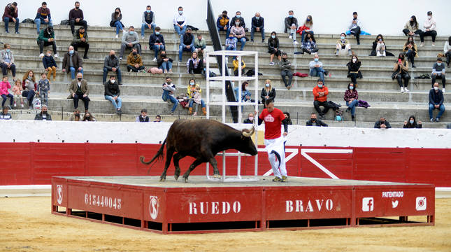 La zona media de Navarra acogió este domingo la primera exhibición de bravura de la mano de la ganadería Arriazu
