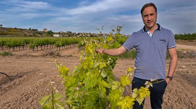 Jorge González es el representantes de más de 700 viticultores navarros en La DOCa Rioja.
