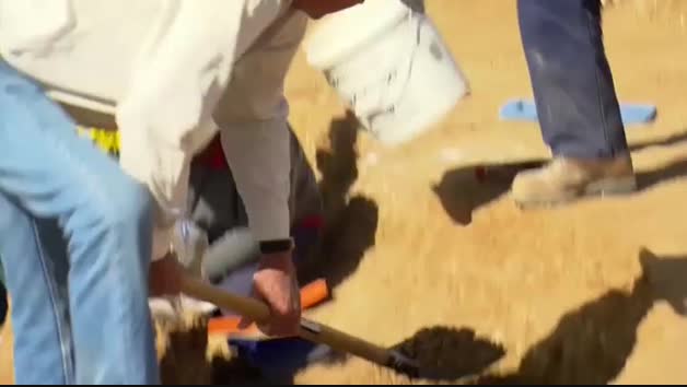 Nueva especie de dinosaurio hallada en Australia