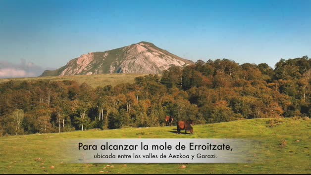Vídeo Arpea