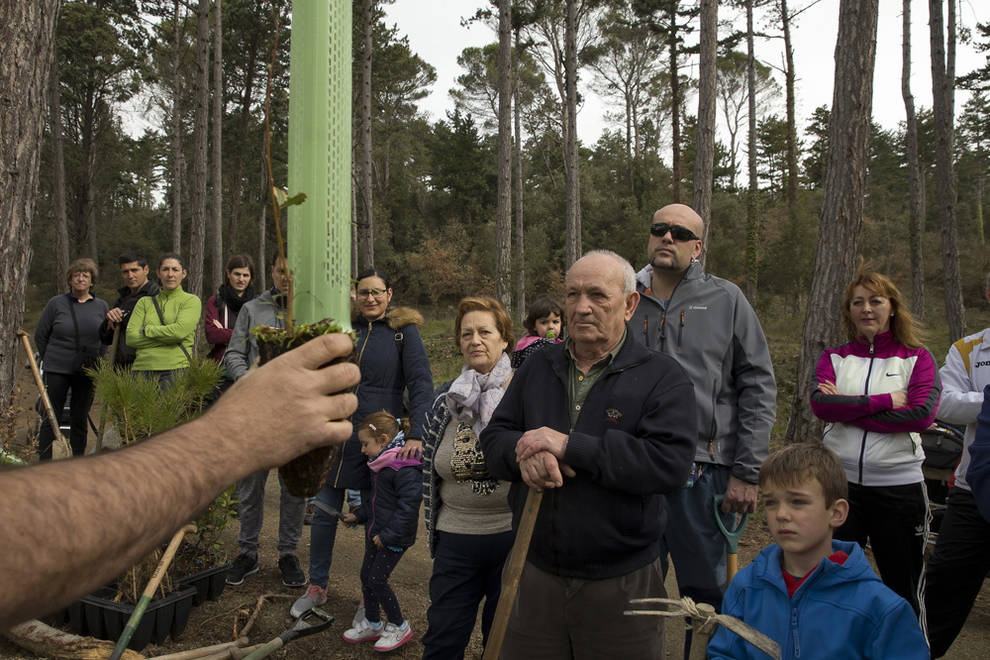 Berriozar celebró el Día del Árbol acompañado por la ...