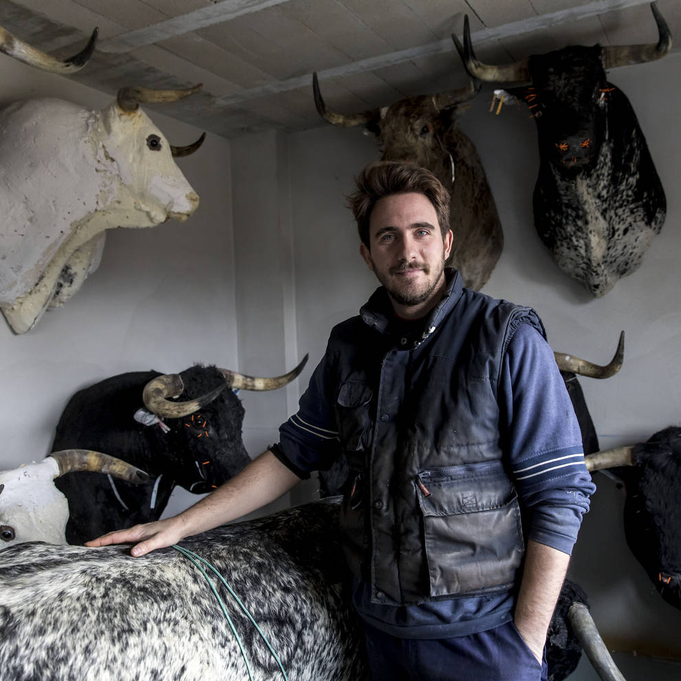 Campero, el toro disecado por un navarro que jugara en la Champions