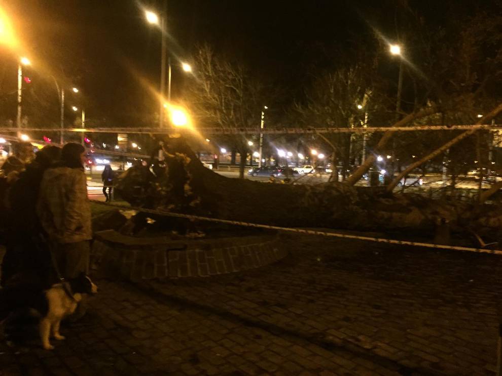 Dos heridos por la caída de un árbol junto al edificio Singular de Pamplona