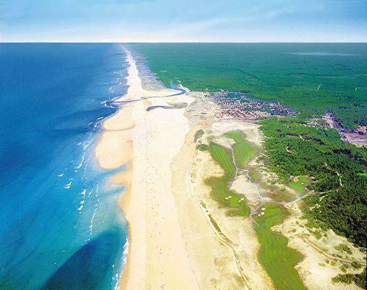 las landas francesas
