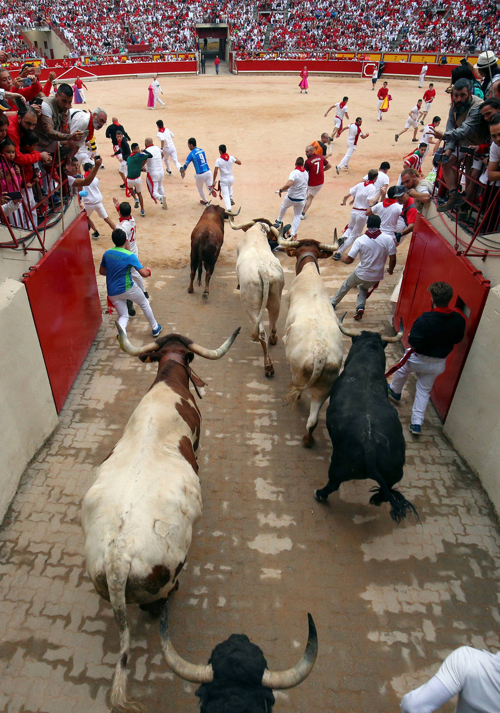 Fotos del séptimo encierro de San Fermín 2018 (4/70) - Imágenes del séptimo encierro de los Sanfermines de 2018, con toros de la ganadería Jandilla. - San Fermín - null