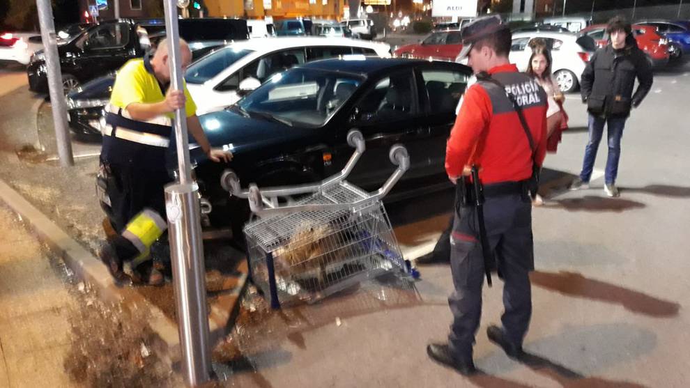Capturan un buitre en el centro comercial Itaroa