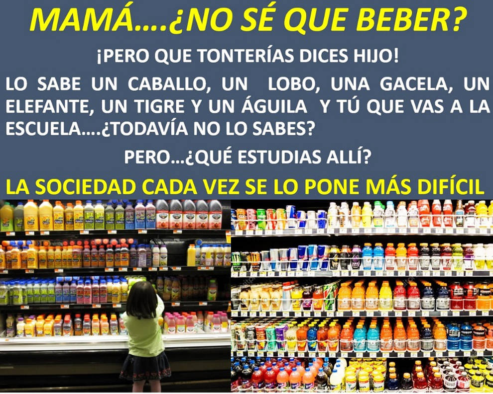 Economía, nutrición y salud