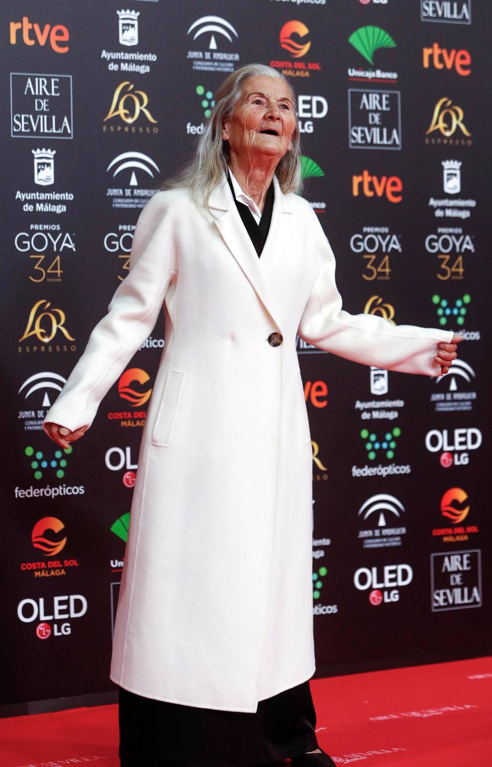 Fotos de los Premios Goya de 2020