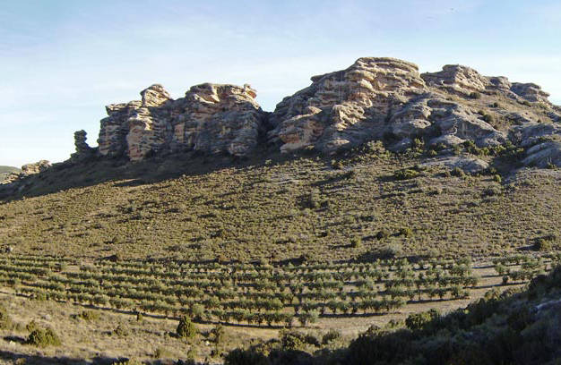 Fotografía circuito de Roscas.