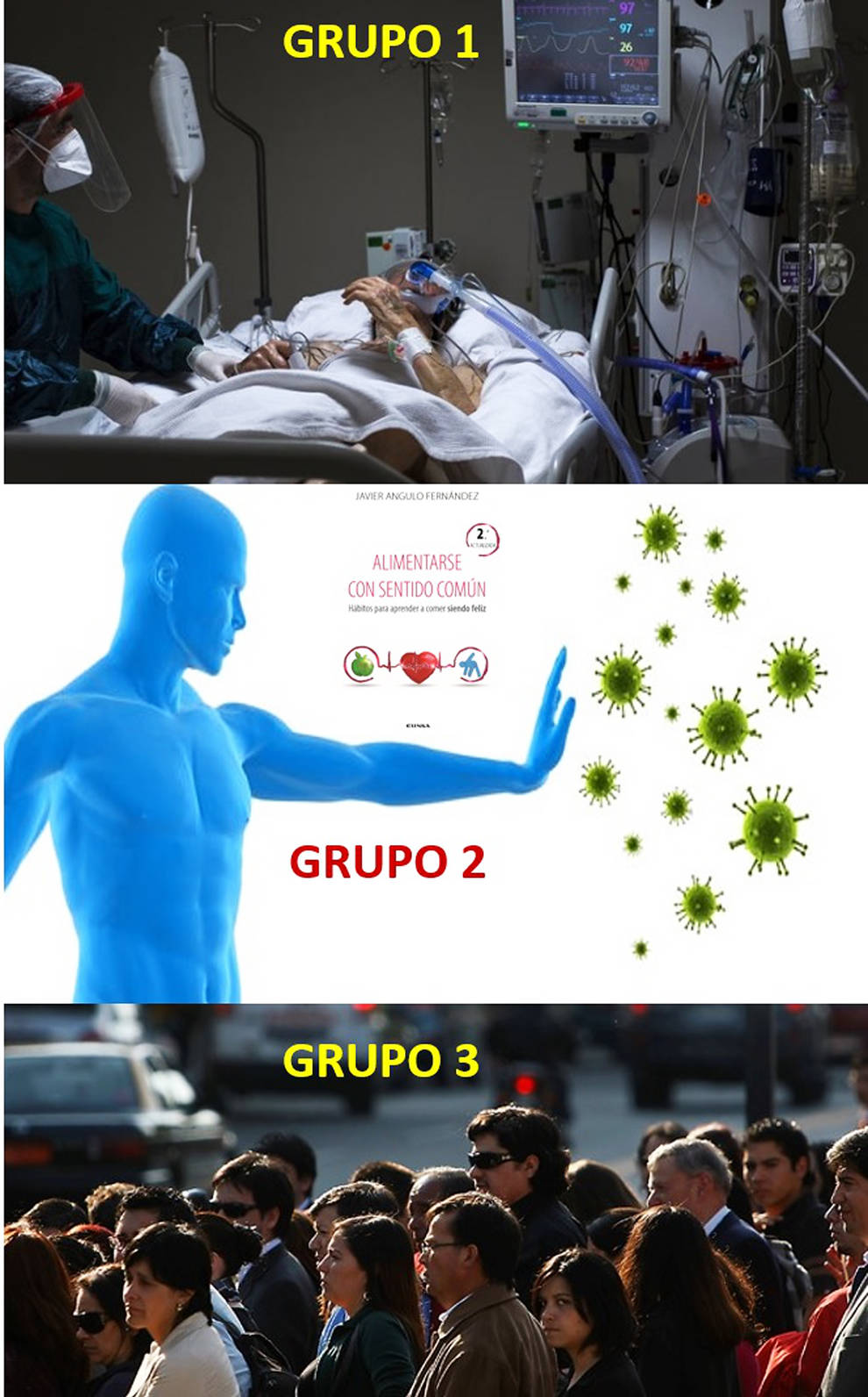 Hacia un largo y extraño caminar (II)