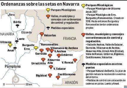 Consejos para la recogida de setas