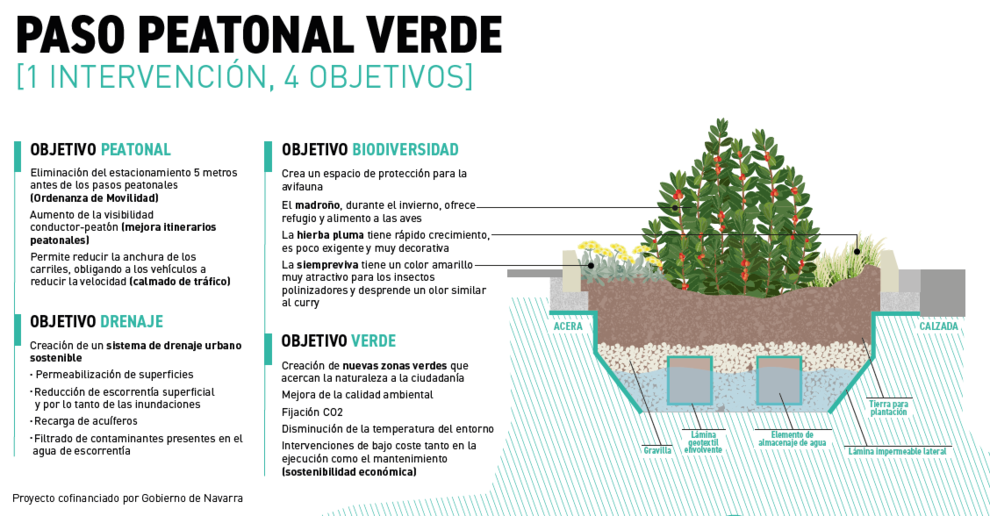 Paso peatonal verde