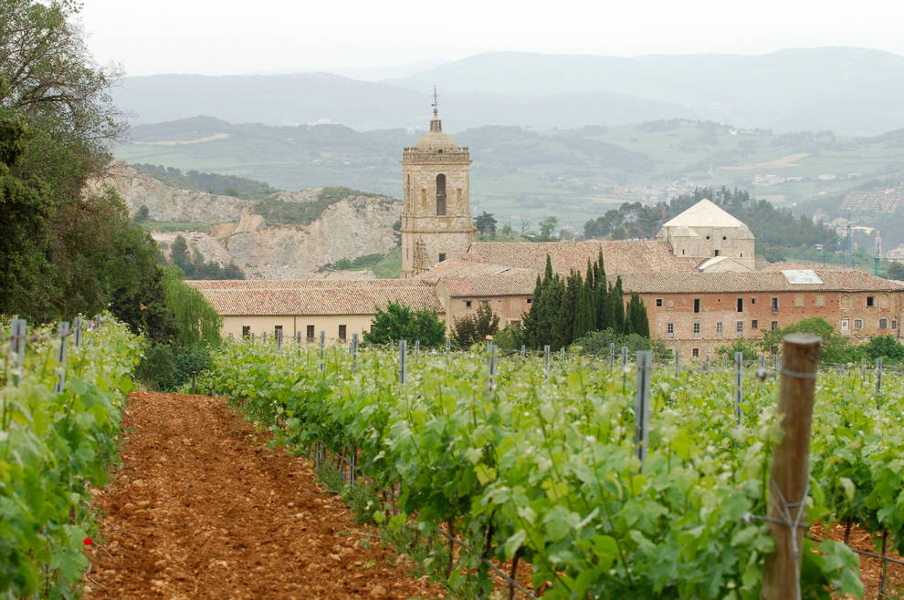 Vino 2