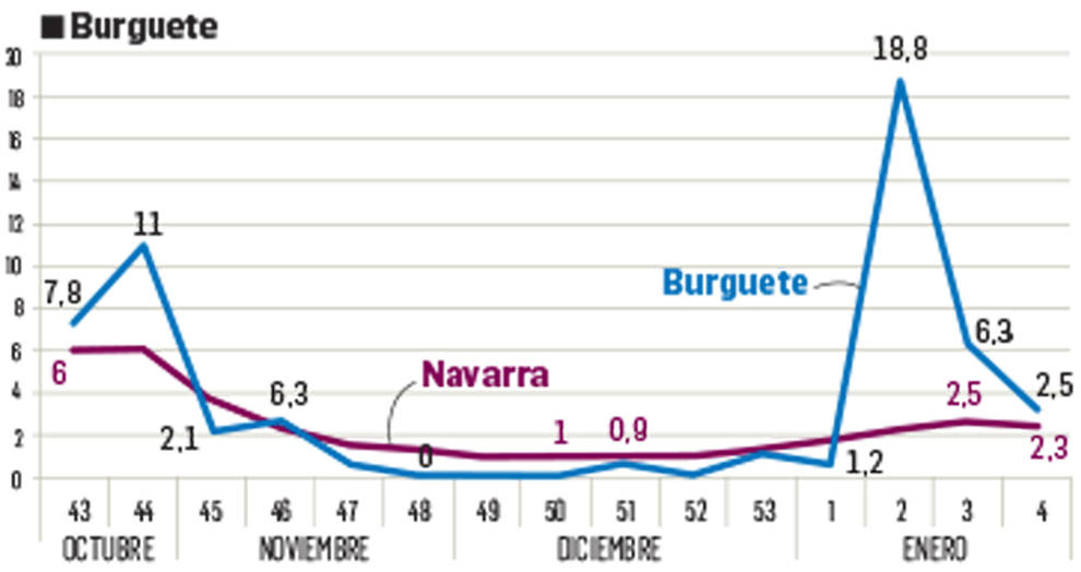 Las zonas de Burguete, Sangüesa y Salazar marcan picos de covid en enero