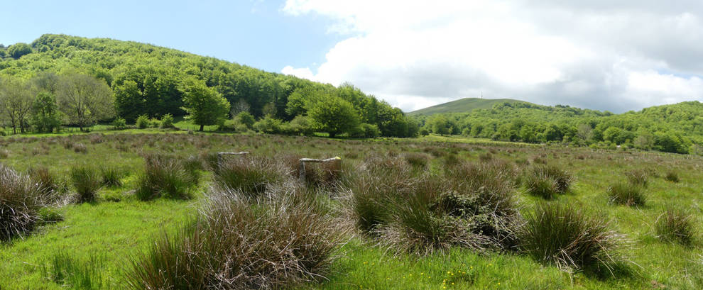 Navarra se suma este viernes al Día Europeo de la Red Natura 2000