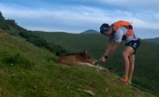 Rescata a un potro atrapado en un agujero en el monte Saioa