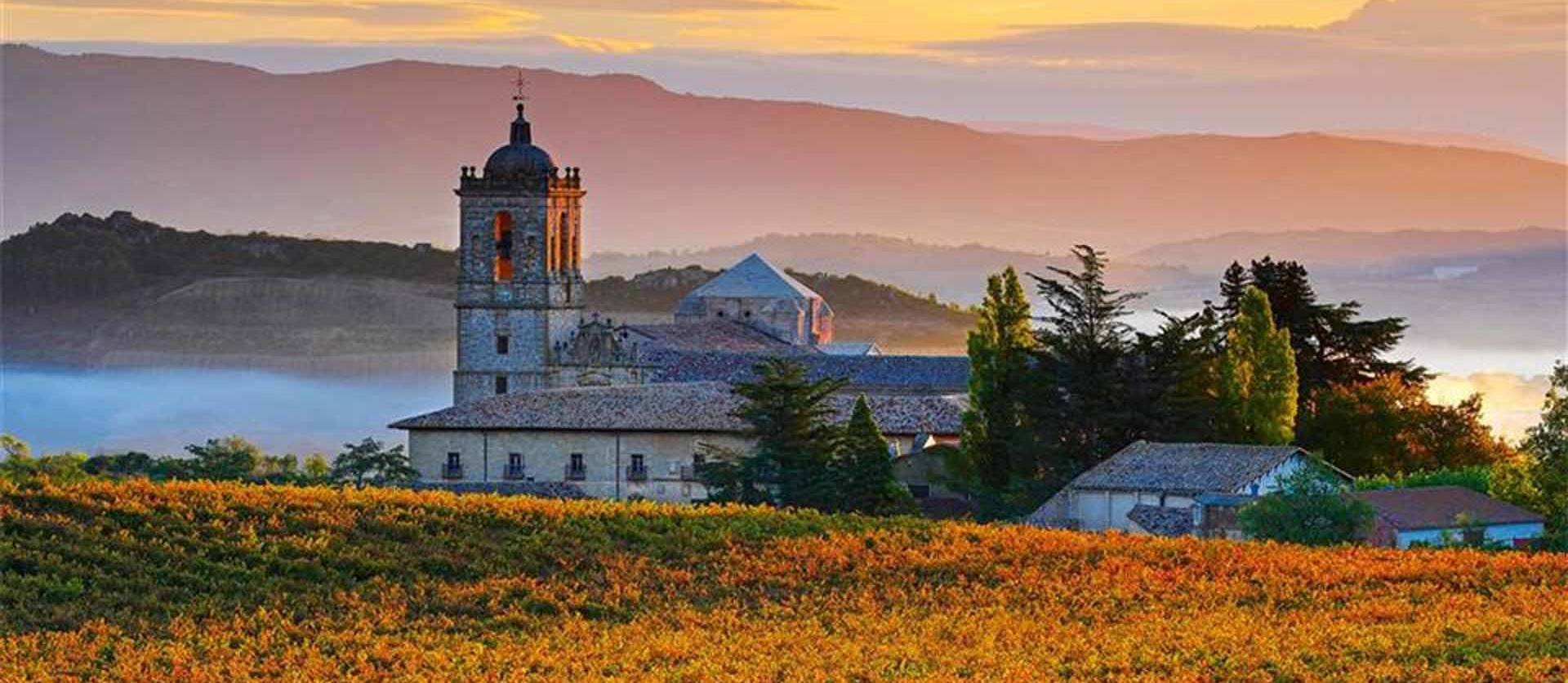 Foto de las viñas en torno al monasterio de Irache.