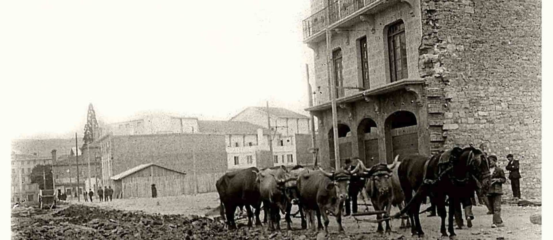 Bueyes y caballerías trabajando en las obras de urbanización de la avenida de San Ignacio, en junio de 1923, a la altura del actual hotel Yoldi. A la izquierda, el Coliseo Olimpia, recién terminado, y detrás el fielato de arbitrios.