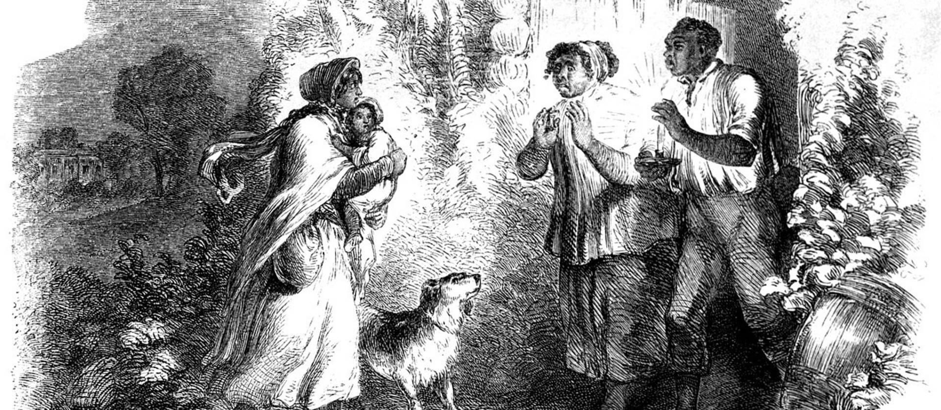 El debate sobre la esclavitud hiere de muerte al Partido Whig (1852)