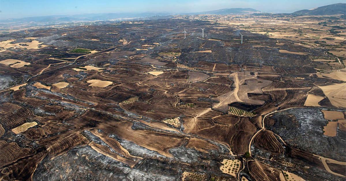 Incendio Tafalla, Navarra El dispositivo contra el Incendio Tafalla, Navarra El dispositivo contra el