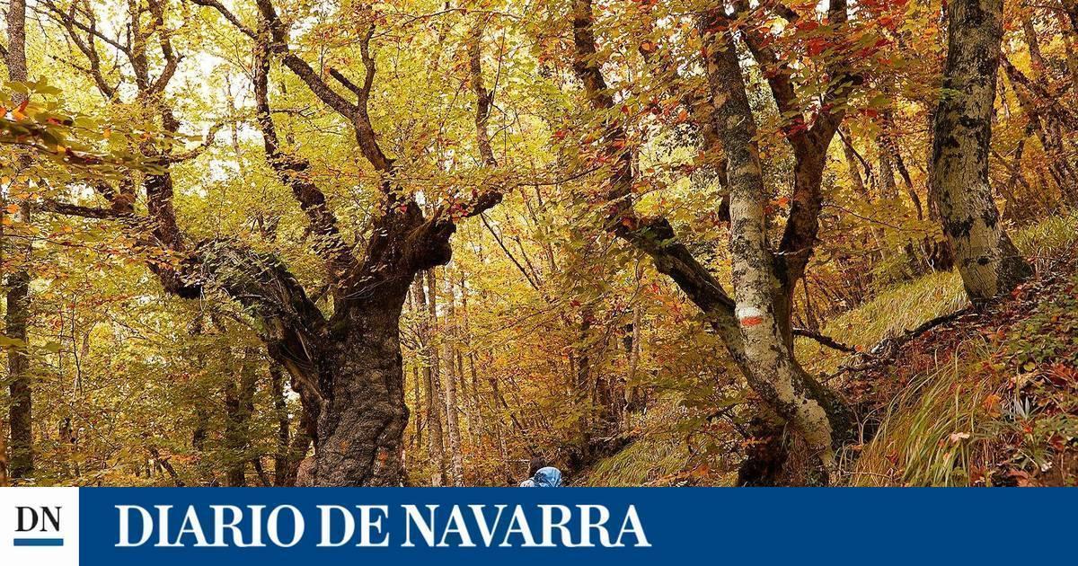 Espacio deportivo el capricho Espacio deportivo el capricho