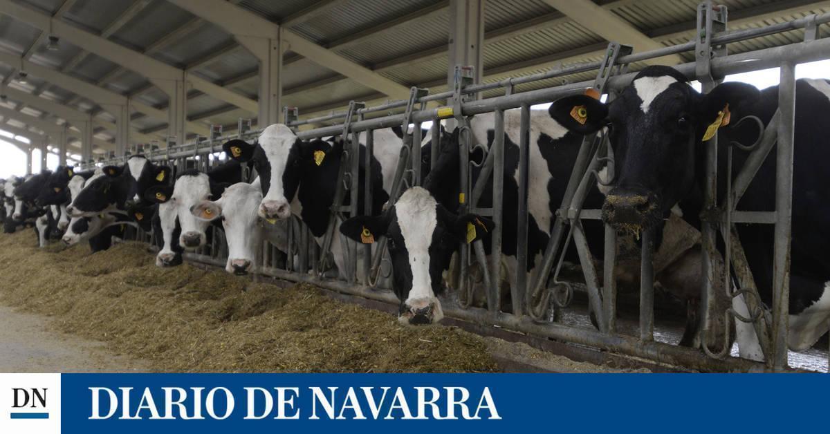 La granja de Caparroso, en el centro de la polémica - Vimarsana News