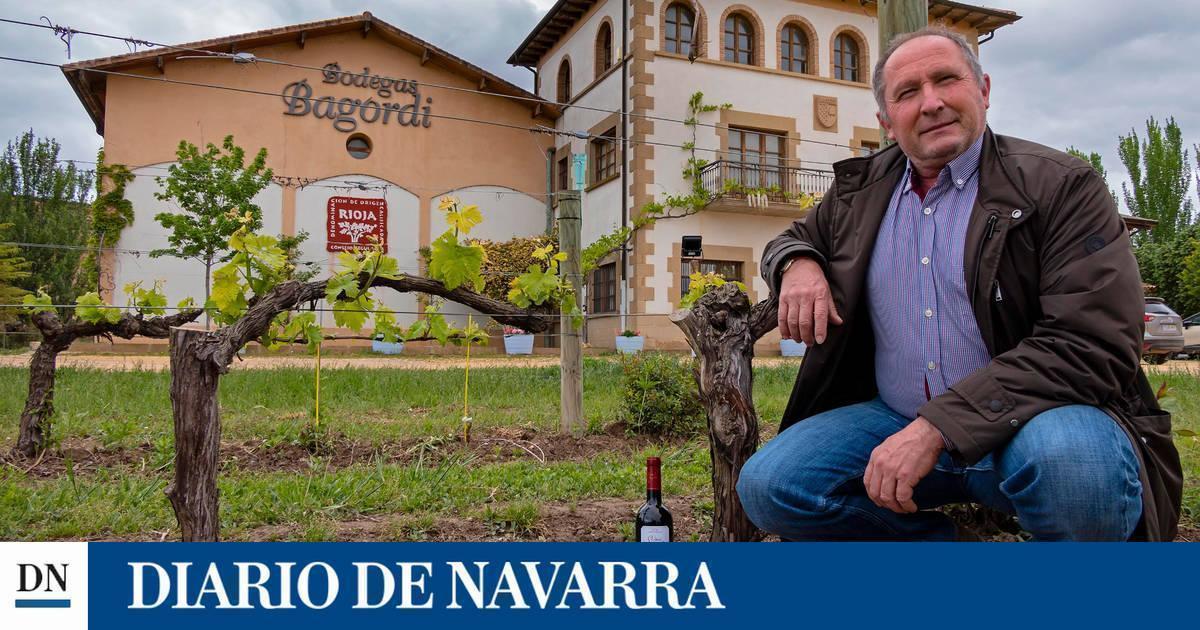 Incertidumbre en el sector navarro del Rioja ante la DO Viñedos de Álava - Vimarsana News