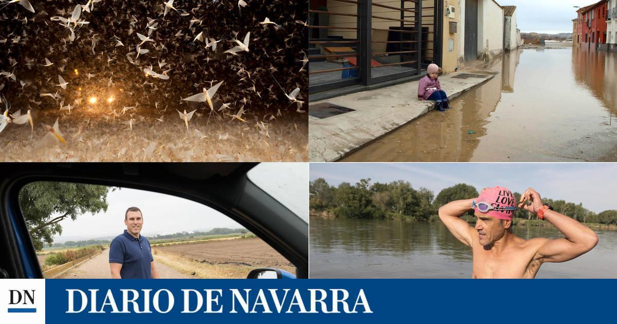 Suplemento Tudela y Ribera: Las dos caras del Ebro - Vimarsana News