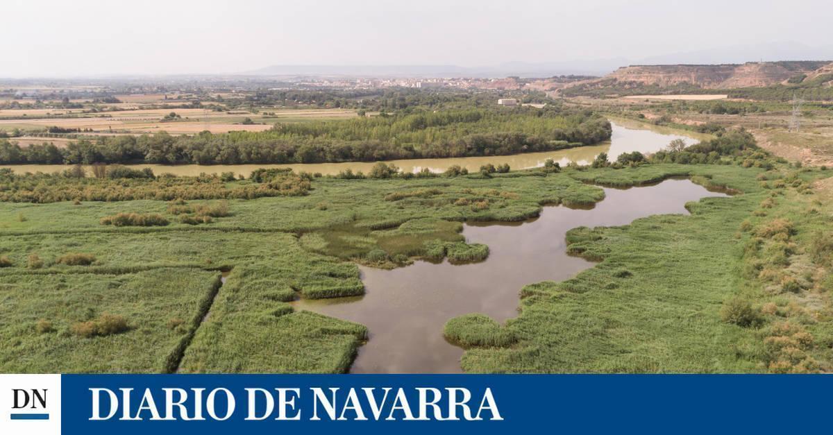 Proyectos para aprovechar el atractivo turístico del Ebro - Vimarsana News