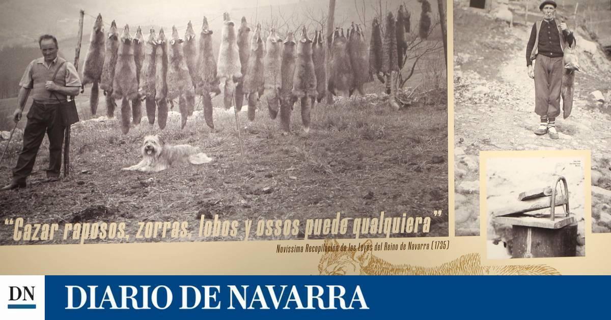 Una mirada de altos vuelos sobre Aralar - Vimarsana News